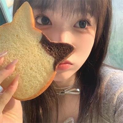 猫咪心动奇迹