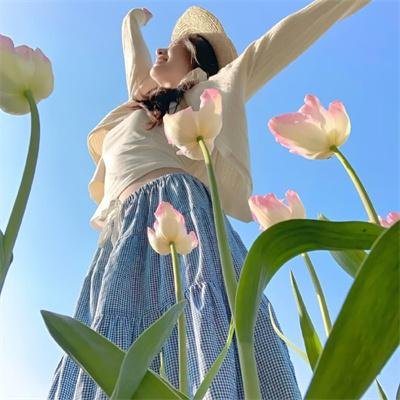 光明守护者